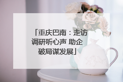 重庆巴南：走访调研听心声 助企破局谋发展