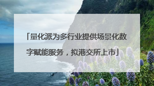 量化派为多行业提供场景化数字赋能服务，拟港交所上市