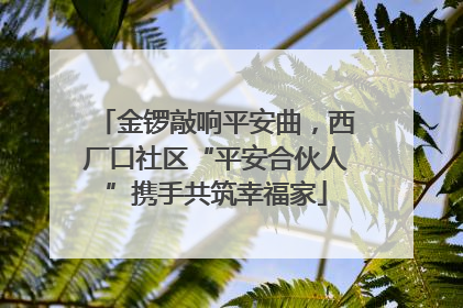 金锣敲响平安曲，西厂口社区“平安合伙人”携手共筑幸福家