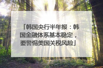韩国央行半年报：韩国金融体系基本稳定，要警惕美国关税风险