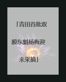 青田首批双膜东魁杨梅迎来采摘