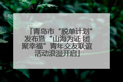 青岛市“脱单计划”发布暨“山海为证 团聚幸福”青年交友联谊活动浪漫开启