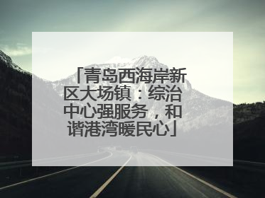 青岛西海岸新区大场镇：综治中心强服务，和谐港湾暖民心
