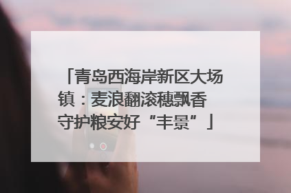 青岛西海岸新区大场镇：麦浪翻滚穗飘香 守护粮安好“丰景”