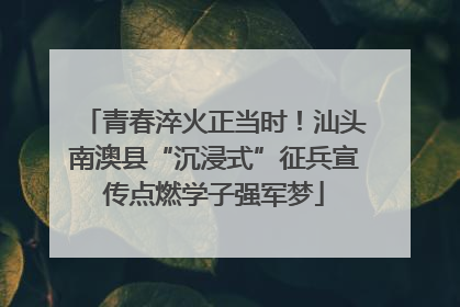 青春淬火正当时！汕头南澳县“沉浸式”征兵宣传点燃学子强军梦