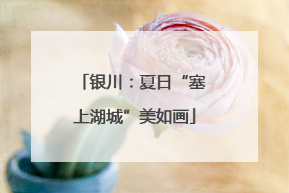 银川：夏日“塞上湖城”美如画