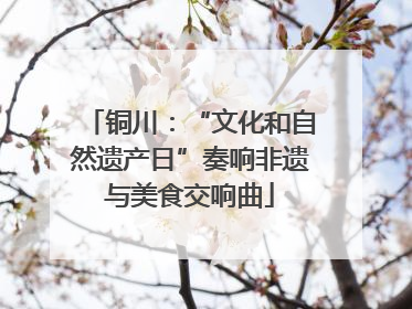 铜川：“文化和自然遗产日”奏响非遗与美食交响曲