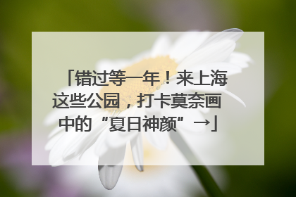 错过等一年！来上海这些公园，打卡莫奈画中的“夏日神颜”→