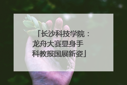 长沙科技学院：龙舟大赛显身手 科教报国展新姿