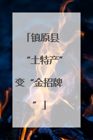 镇原县 “土特产”变“金招牌”