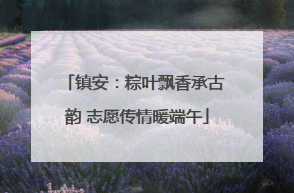 镇安：粽叶飘香承古韵 志愿传情暖端午