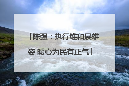 陈强：执行维和展雄姿 暖心为民有正气