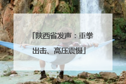 陕西省发声:重拳出击、高压震慑
