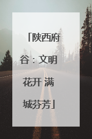 陕西府谷：文明花开 满城芬芳