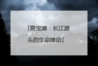 隆宝滩：长江源头的生命律动