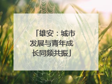雄安：城市发展与青年成长同频共振