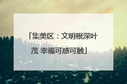 集美区：文明根深叶茂 幸福可感可触