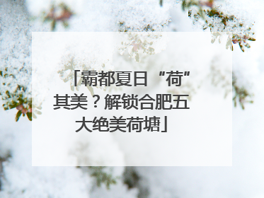 霸都夏日“荷”其美？解锁合肥五大绝美荷塘