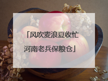 风吹麦浪夏收忙 河南老兵保粮仓