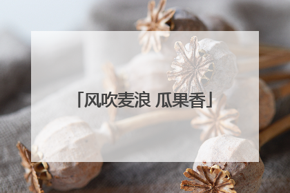 风吹麦浪 瓜果香