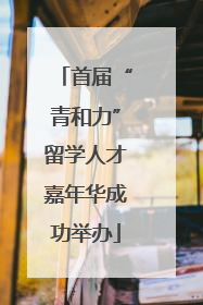 首届“青和力”留学人才嘉年华成功举办
