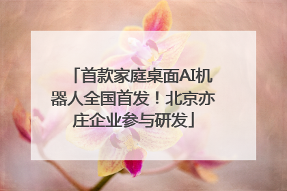 首款家庭桌面AI机器人全国首发！北京亦庄企业参与研发