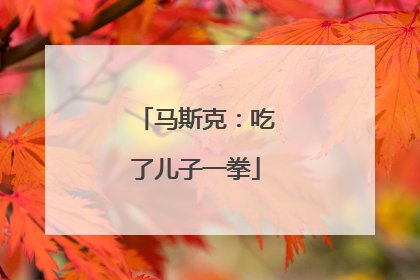 马斯克：吃了儿子一拳
