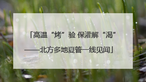 高温“烤”验 保灌解“渴”——北方多地夏管一线见闻