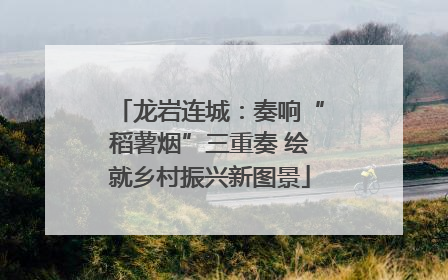 龙岩连城：奏响“稻薯烟”三重奏 绘就乡村振兴新图景