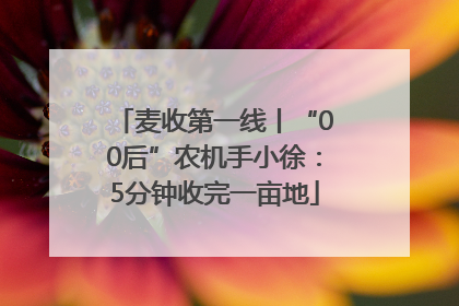 麦收第一线丨“00后”农机手小徐：5分钟收完一亩地