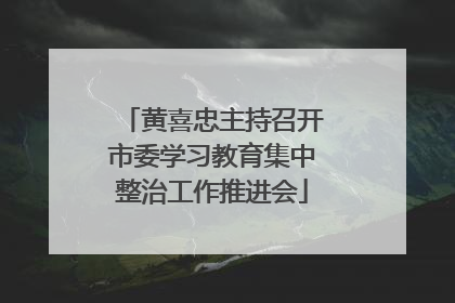 黄喜忠主持召开市委学习教育集中整治工作推进会