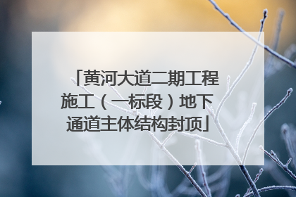 黄河大道二期工程施工（一标段）地下通道主体结构封顶