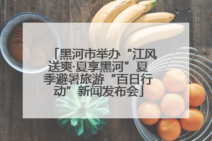 黑河市举办“江风送爽·夏享黑河”夏季避暑旅游“百日行动”新闻发布会
