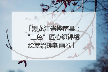 黑龙江省桦南县：“三色”匠心织锦绣 绘就治理新画卷