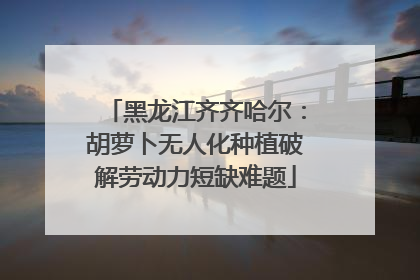黑龙江齐齐哈尔：胡萝卜无人化种植破解劳动力短缺难题