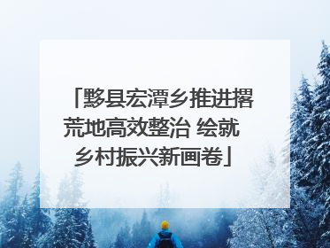 黟县宏潭乡推进撂荒地高效整治 绘就乡村振兴新画卷