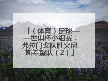 （体育）足球——世俱杯小组赛：弗拉门戈队胜突尼斯希望队（2）