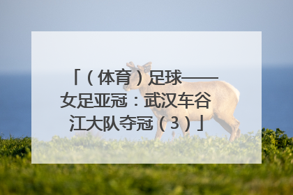 （体育）足球——女足亚冠：武汉车谷江大队夺冠（3）
