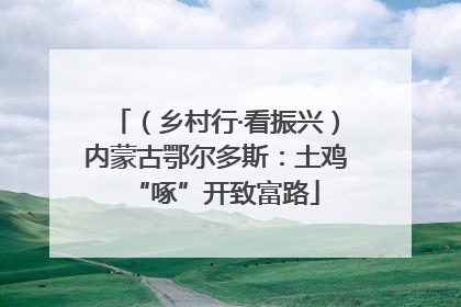 （乡村行·看振兴）内蒙古鄂尔多斯：土鸡“啄”开致富路