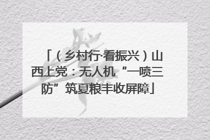 （乡村行·看振兴）山西上党：无人机“一喷三防”筑夏粮丰收屏障