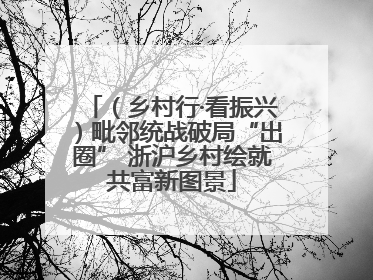 （乡村行·看振兴）毗邻统战破局“出圈” 浙沪乡村绘就共富新图景