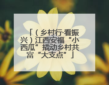 （乡村行·看振兴）江西安福“小西瓜”撬动乡村共富“大支点”