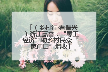（乡村行·看振兴）浙江嘉善：“零工经济”助乡村民众“家门口”增收