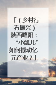 （乡村行·看振兴）陕西略阳：“小瓢儿”如何撬动亿元产业？