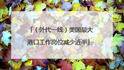 （外代一线）美国最大港口工作岗位减少近半