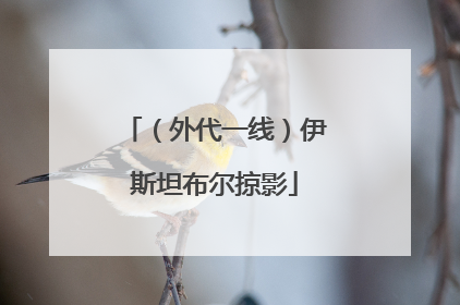 （外代一线）伊斯坦布尔掠影