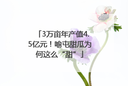 3万亩年产值4.5亿元！喻屯甜瓜为何这么“甜”