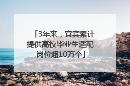 3年来，宜宾累计提供高校毕业生适配岗位超10万个