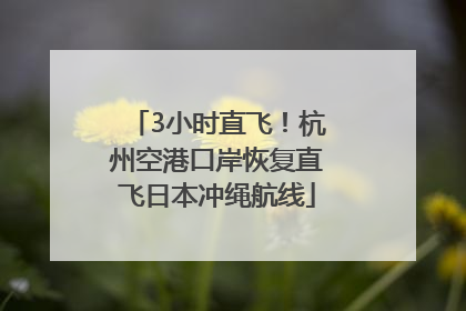 3小时直飞！杭州空港口岸恢复直飞日本冲绳航线
