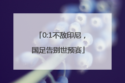 0:1不敌印尼，国足告别世预赛